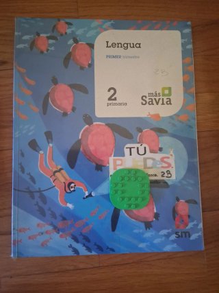 Lote Libros Textos 4º y3 Primaria Santillana, Oxfo