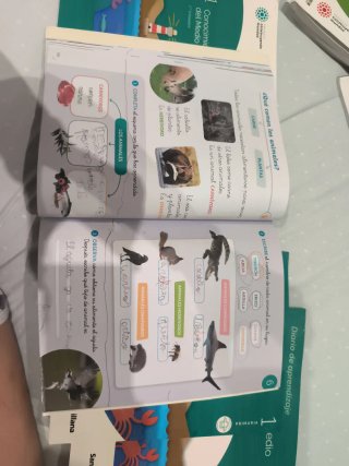 Conocimiento del medio, 1 Primaria, Mochila lig...
