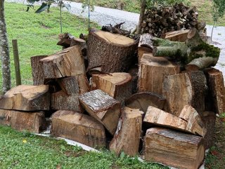Madera roble