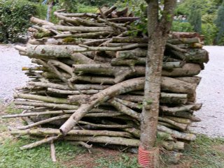 Madera roble