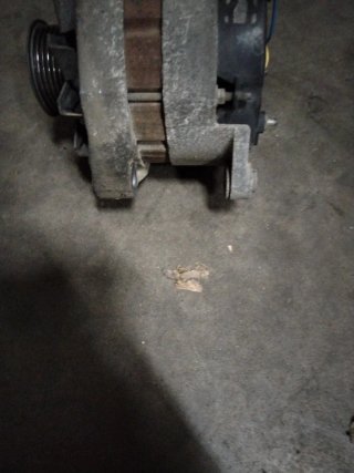 Alternador Renault 19 1.9 Diesel