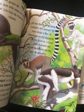 Lote libros infantiles