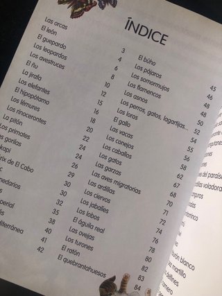 Lote libros infantiles