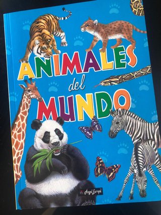 Lote libros infantiles