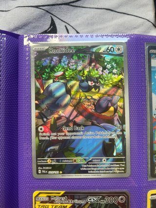 Carta Pokémon Rookidee 225/193
