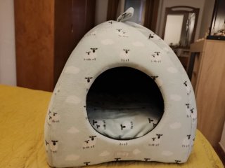 Caminha Casa Gato Ovelhas