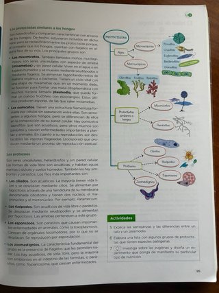 Biología, Geología y Ciencias Ambientales 1 Bac...