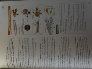 Biología, Geología y Ciencias Ambientales 1 Bac...