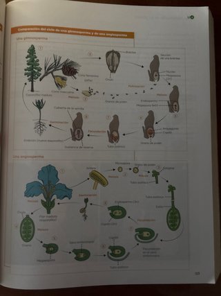 Biología, Geología y Ciencias Ambientales 1 Bac...