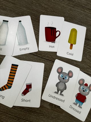 Juego de mesa Match the Opposites