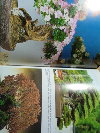 Libro manual práctico de bonsai