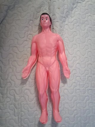 Conoce tu Anatomía Educa Kit