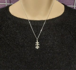 Cadena y Cruz de Plata de Ley