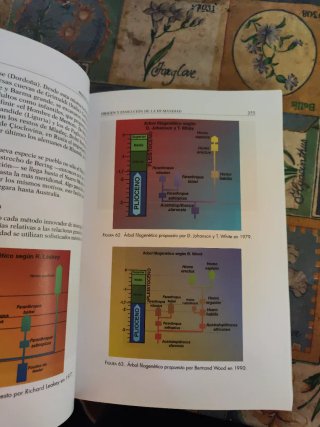 Prehistoria 1 y 2