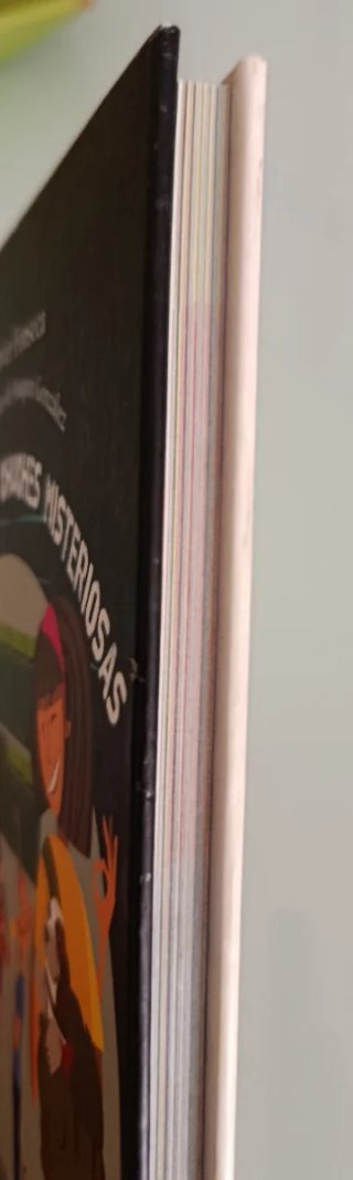 Libro juvenil "EL CASO DE LAS CHUCHES MISTERIOSAS"