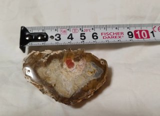 Madera  Fósil Pulida xilápalo Agata Jaspe
