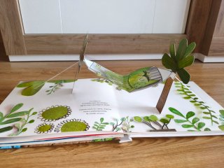 El monstruo de colores (edición pop-up)