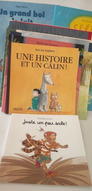 14 libros infantiles ilustrados en francés.