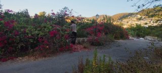 Jardinero