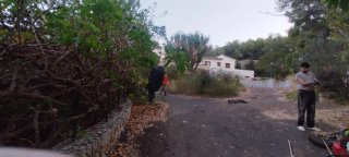 Jardinero