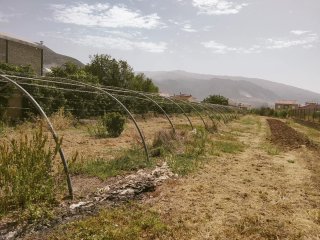 Invernadero Filclair 2800 m²