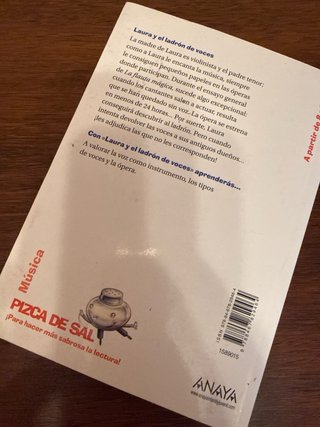 Laura y el ladrón de voces