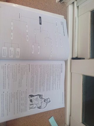 Paideia. Textos de Filosofía para la PAU. Andal...