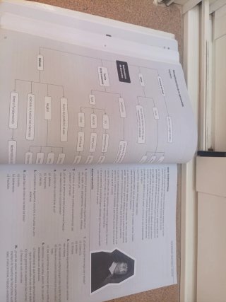 Paideia. Textos de Filosofía para la PAU. Andal...