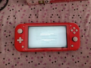 Nintendo Switch Lite Coral