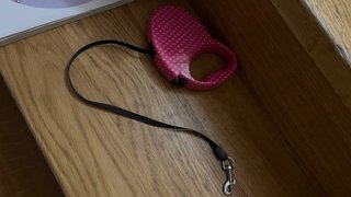 Correa retráctil para perro/gato rosa