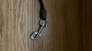 Correa retráctil para perro/gato rosa