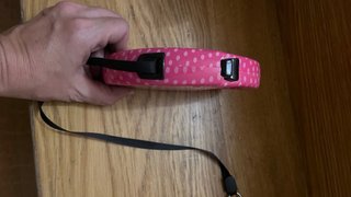 Correa retráctil para perro/gato rosa