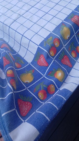 Toalha de Mesa Retangular Frutos Azul e Branco