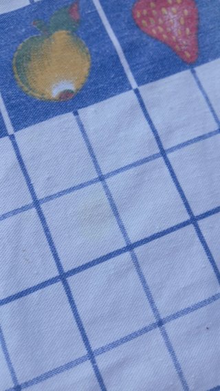 Toalha de Mesa Retangular Frutos Azul e Branco