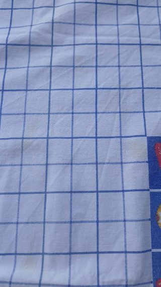 Toalha de Mesa Retangular Frutos Azul e Branco