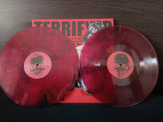 Pig Destroyer Terrifyer Vinilo