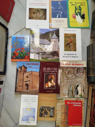 RONCESVALLES - CÁCERES y más libros viajey y lugar