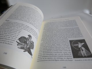 LA INDIA POR DENTRO, Una guia cultural para el via