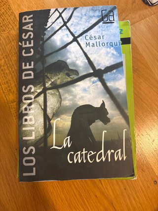 La catedral Los libros de César Mallorquí