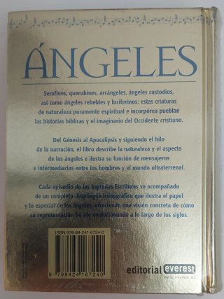 LIBRO ÁNGELES.