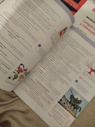 Lengua castellana y literatura 2 bachillerato