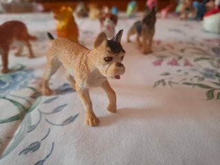 Lote 5 figuras perros miniatura
