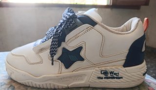 Zapatos Deportivos Blancos y Azules