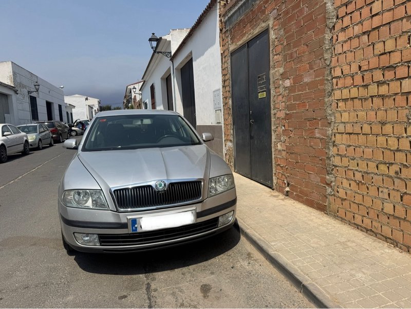 Skoda Octavia 1.9 tdi - foto 1