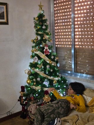 Árbol de Navidad 1.72m
