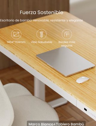 Escritorio Elevable Flexispot Q8