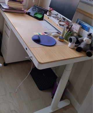 Escritorio Elevable Flexispot Q8