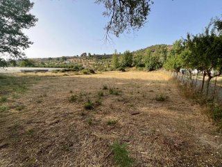 Terreno rústico en venta
