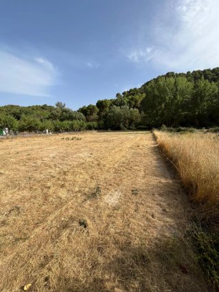 Terreno rústico en venta
