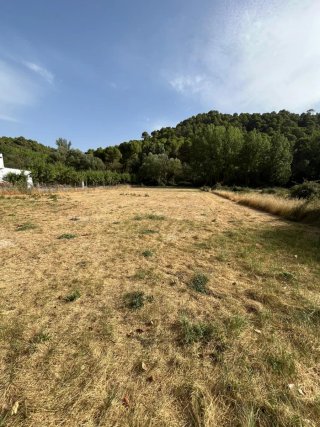 Terreno rústico en venta